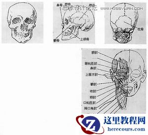 Maya建模教程：人头建模的详细教程