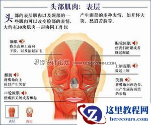 Maya建模教程：人头建模的详细教程