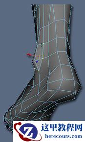 Maya建模教程：逼真脚部建模教程