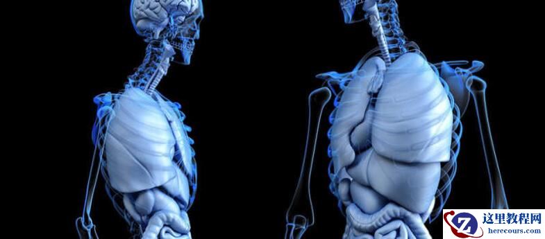 虚拟仿真在医疗行业中的应用 - 3DCAT实时渲染云平台