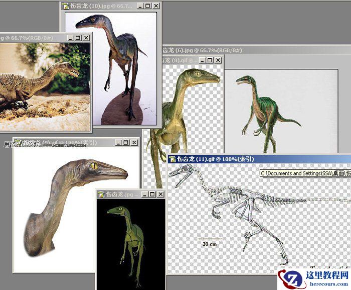 Maya建模教程:制作真实的恐龙