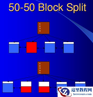 50-50 block split