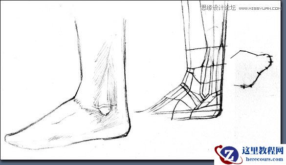 Maya建模教程：逼真脚部建模教程