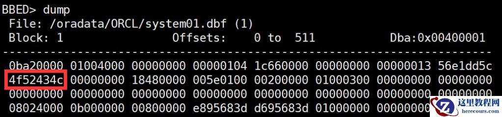 image-20200415095640429