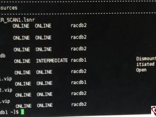 怎样在自定义工具栏添加Word多页显示按钮