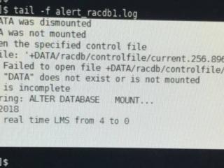 如何给Word2003文档中添个行号