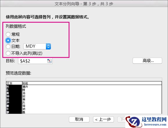 向导中的步骤 3,已选中了“文本选项”