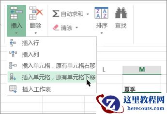 在电子表格中添加单元格