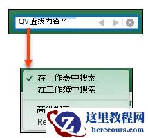 激活搜索栏后，单击放大镜以激活 "更多搜索选项" 对话框