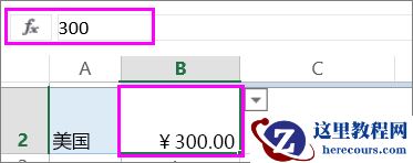 数字值在函数栏中的视图