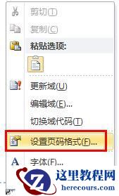 Word2010如何从指定页设置页码