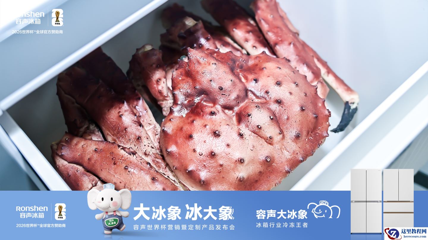 打破 20 年结构固化，容声“大冰象”确立冰箱“中式标准”