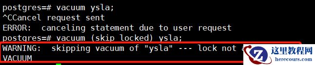 PG12中新增：VACUUM命令的SKIP_LOCKED选项
