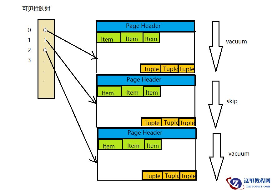 PostgreSQL的vacuum流程