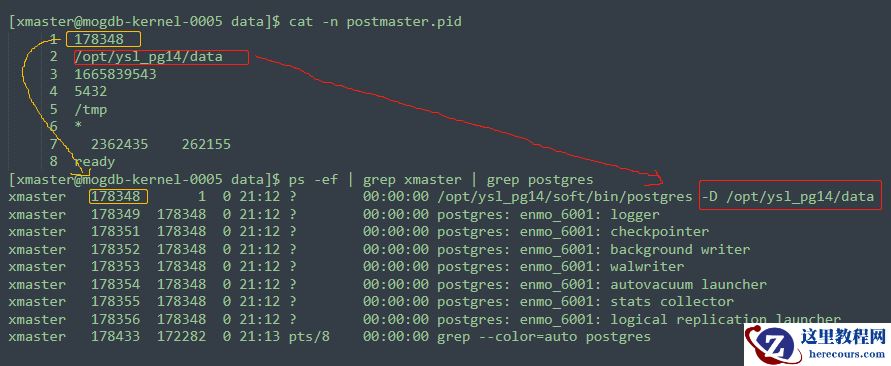PostgreSQL数据目录下的postmaster.pid详解