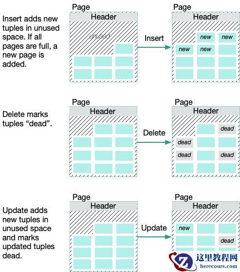 深入浅出VACUUM内核原理(上)