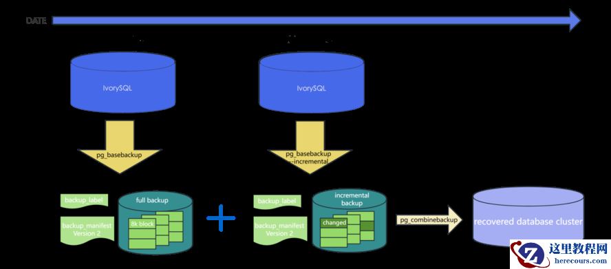 IvorySQL 增量备份与合并增量备份功能解析