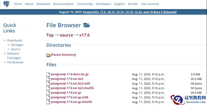 PostgreSQL 17.6 表数据被误删除，无备份，如何恢复？