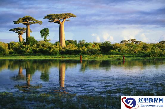 EOS 6D记录动植物王国马达加斯加