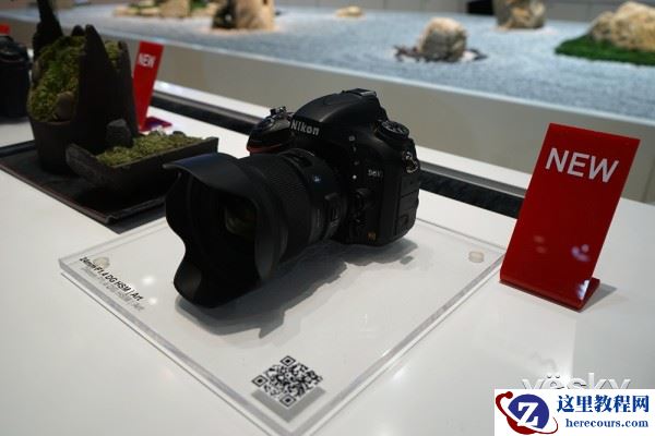 P&E2015:品类丰富招人爱 适马展台人头攒