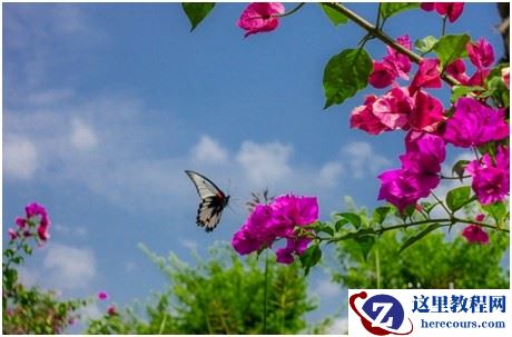 母亲节礼物 索尼黑卡RX100III记录温馨瞬间