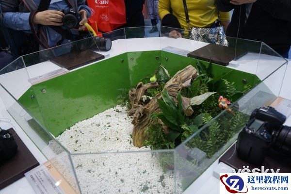 P&E2015:极致之微 腾龙微距展台成热门