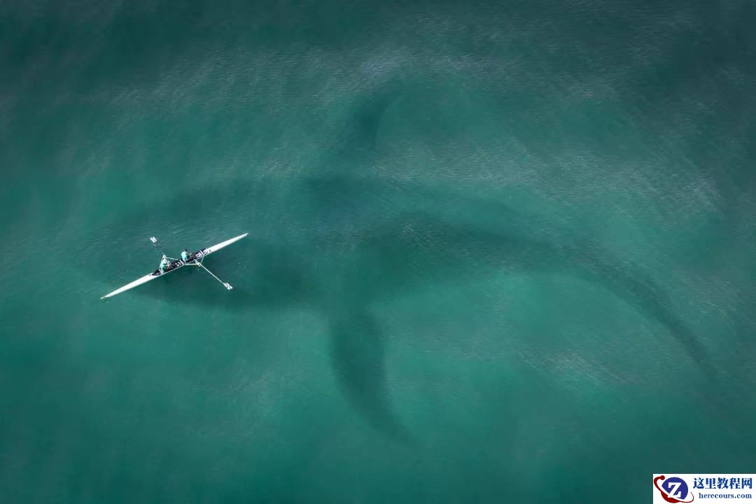 沉寂三年半，Uber 自动驾驶致死案「安全员」发声：希望得到公正的审判