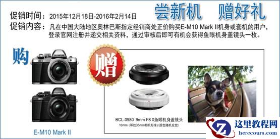 冬日温暖礼驾到 奥林巴斯相机新年大促开启