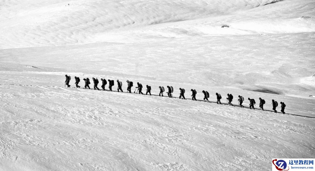 纯视觉自动驾驶方案的「偏见」与「诱惑」