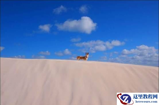 富士X-T10试用 线条构图与情绪表达