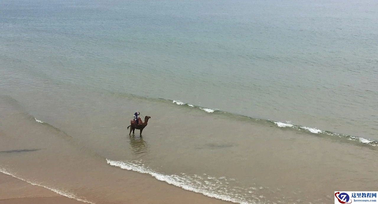 造车新势力尴尬的「出海成绩单」：小鹏月销1辆，蔚来两个月57辆