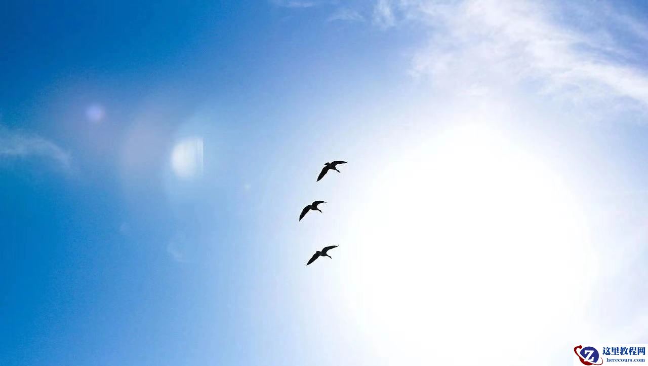 为什么说「分工协作」一定是智能汽车产业最优解