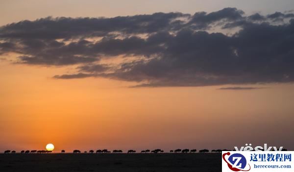 索尼全画幅微单™旗舰A9邂逅狂野非洲