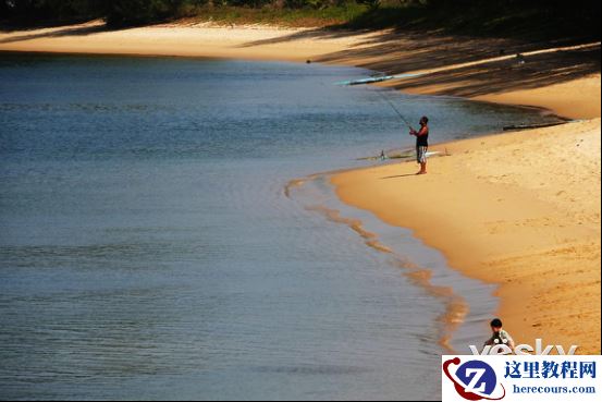 全能打鸟神器 索尼黑卡RX10M4泰国之旅（下）