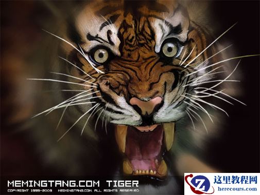 用Photoshop鼠绘绘制森林之王图片详细教程