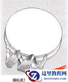 基于solidworks蜗轮齿面的三维仿真造型