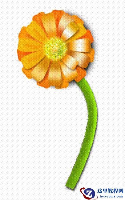 Photoshop绘制一朵写实的非洲菊花效果图片