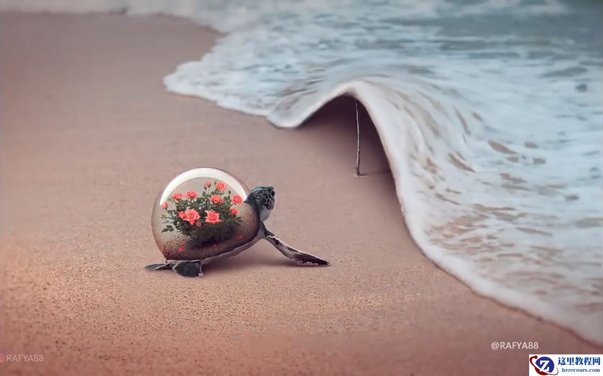 Photoshop合成海边海龟和海浪场景图片设计教程