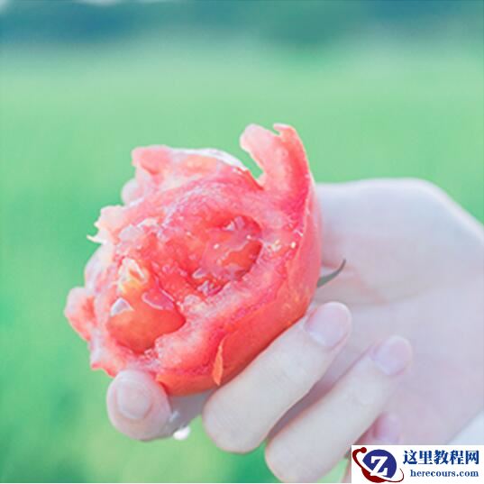 使用LR调出夏日清新色调的西红柿照片调色教程