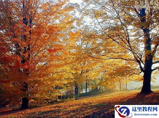 Photoshop把照片转成逼真艺术油画效果转手绘教程