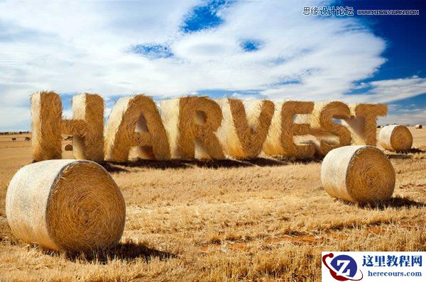 Photoshop制作3D风格的草堆字体特效