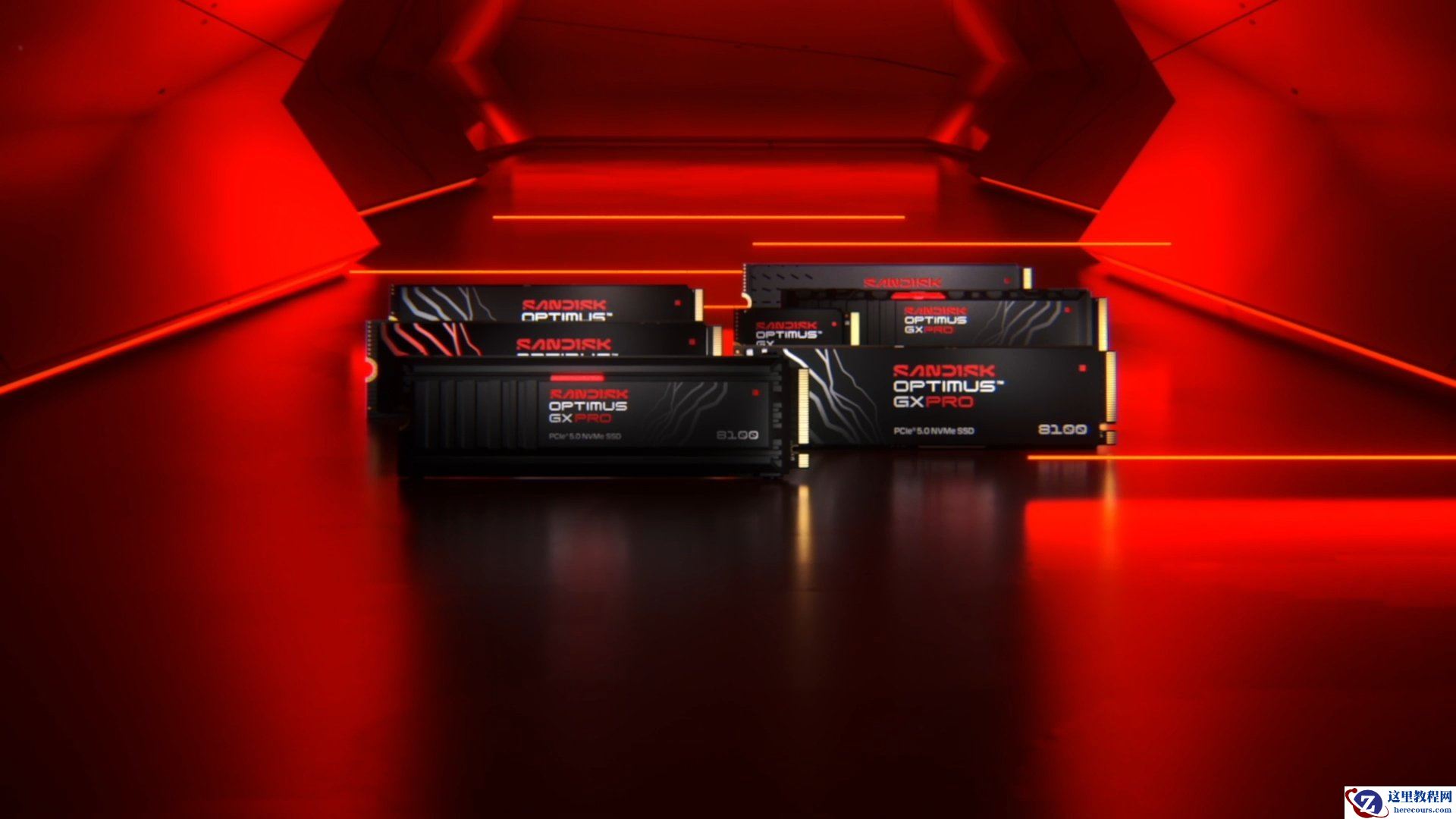 从 WD_BLACK / Blue 到 SANDISK Optimus：闪迪奥丁马仕系列 SSD 宣布 6 月在中国市场上市