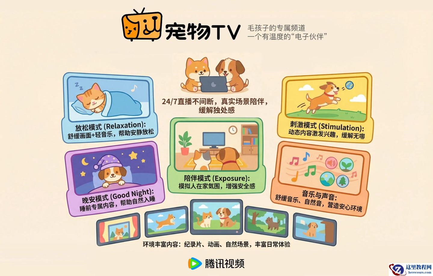 腾讯视频宠物 TV 频道开启试运营，专给猫、狗看