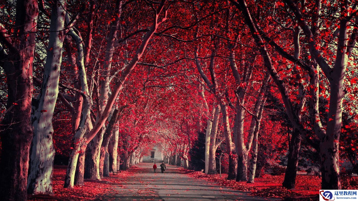 一段asp.net DES加密解密的代码