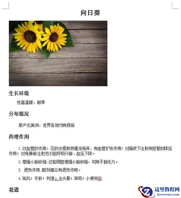 用C#向word文档插入和隐藏段落的方法介绍