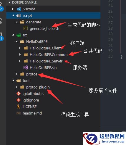 DotBPE.RPC快速开始