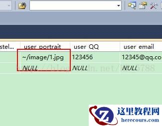 浅析Asp.Net使用Image/ImageButton空间显示本地图片的方法