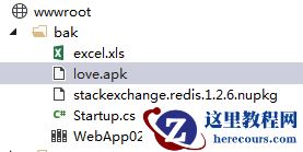 .Net Core之实现下载文件的实例