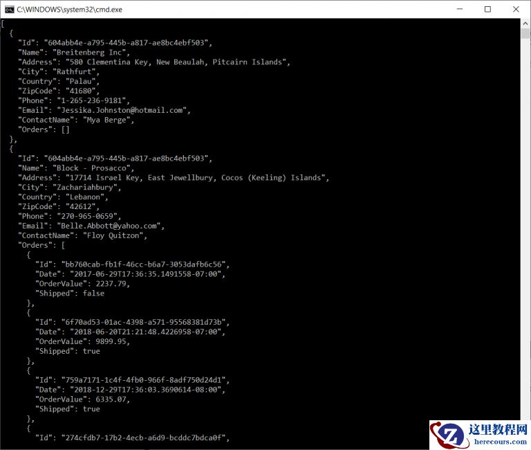 如何在C#中使用Bogus去创建模拟数据