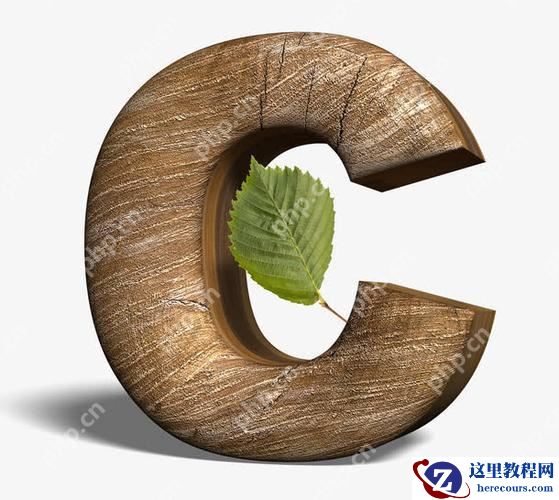 .NET多语言支持 vs C#单一语言优势：开发场景选择指南